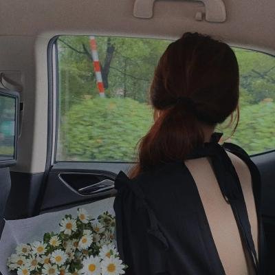 华盛顿的盔甲第一卷:旅程